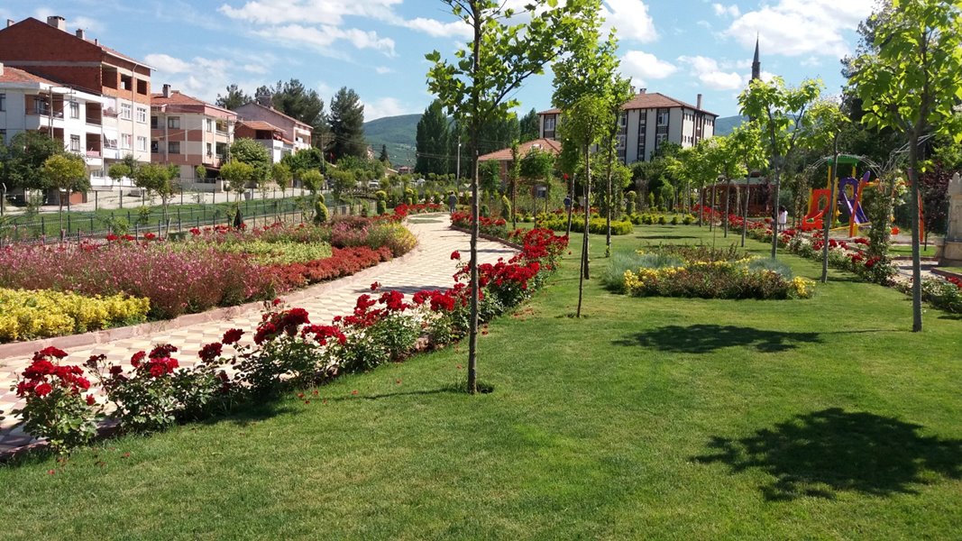 Saraydüzü Fotoğrafları